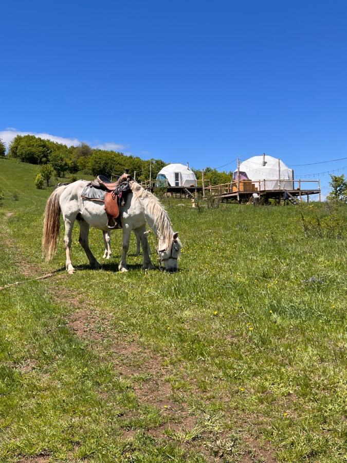 Glamping Park Hotel Shahumyan Ngoại thất bức ảnh